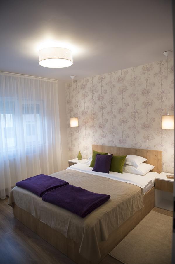 Smp Apartment 2 Temesvár Kültér fotó
